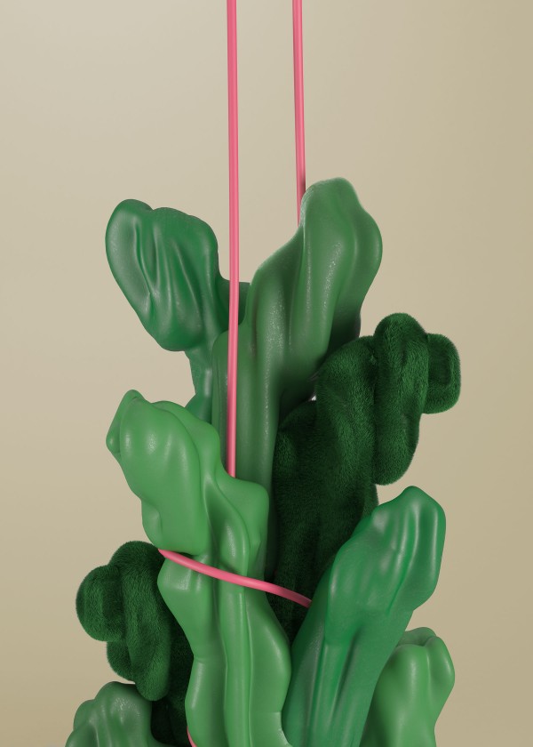 In House Project – Cactus