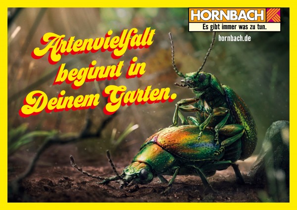 Hornbach