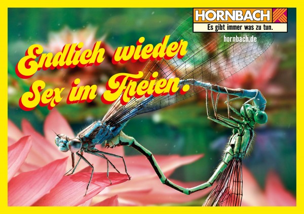 Hornbach